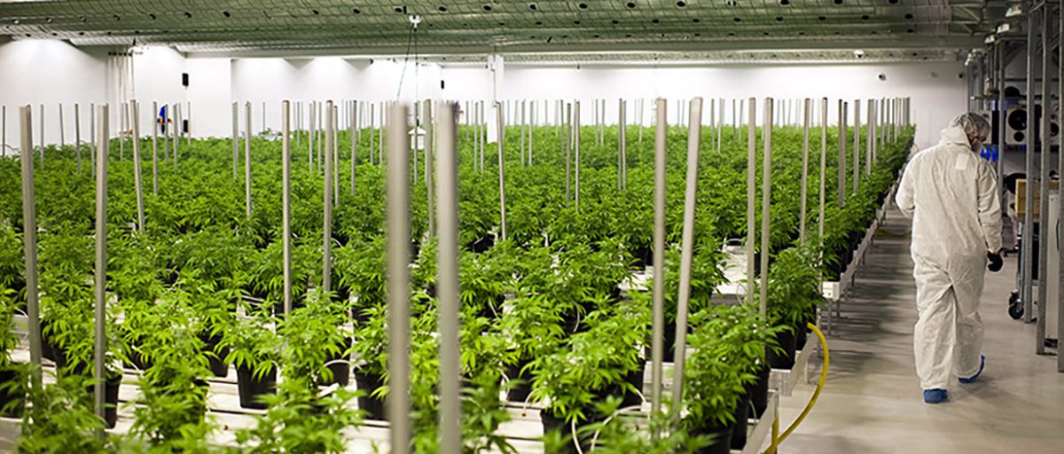 mCig’s Subsidiary, Grow Contractors Inc., Announces it has Secured an Exclusive Management Contract in Costa Mesa, CA